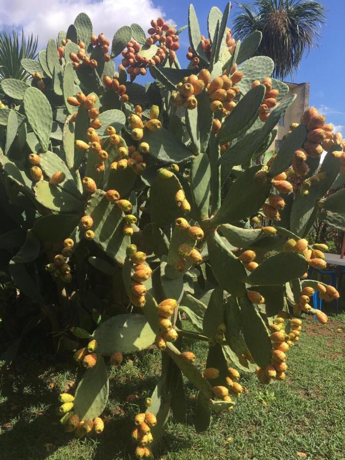Il Giardino Degli Agrumi Caserta Exteriér fotografie