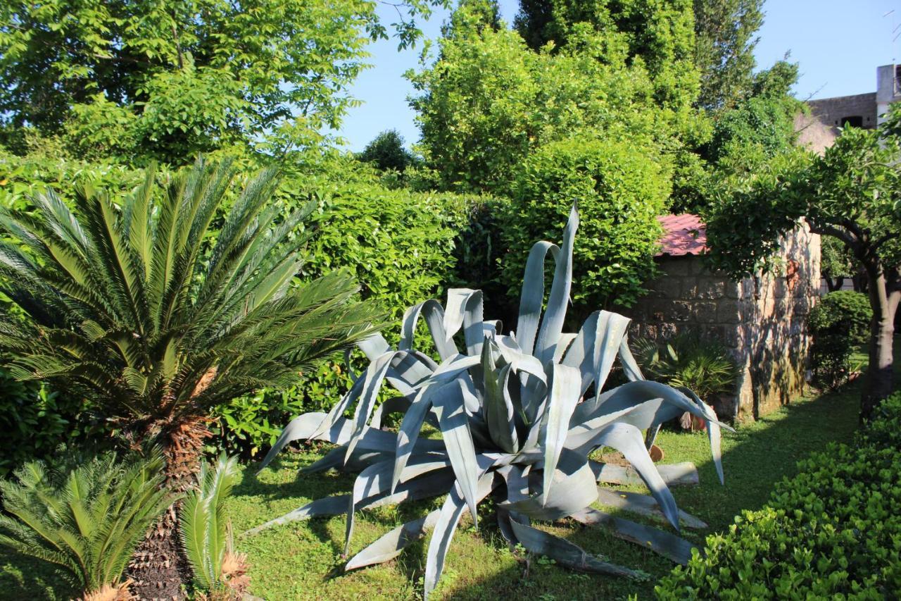 Il Giardino Degli Agrumi Caserta Exteriér fotografie