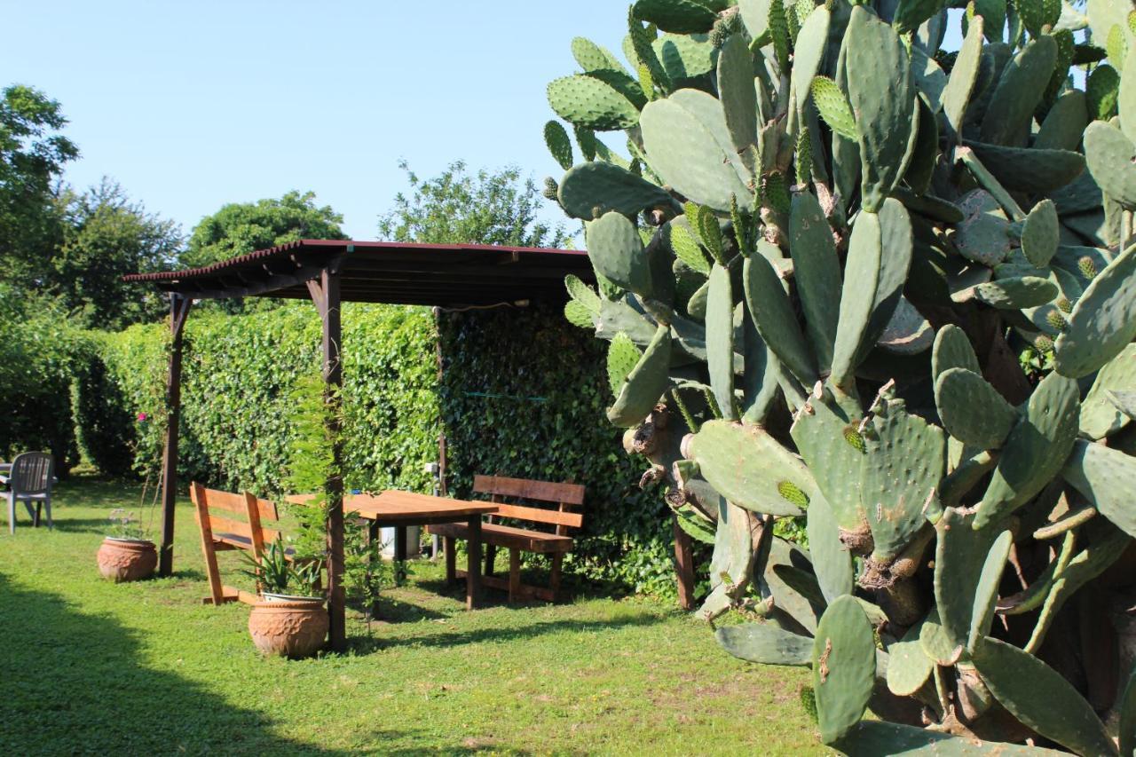 Il Giardino Degli Agrumi Caserta Exteriér fotografie