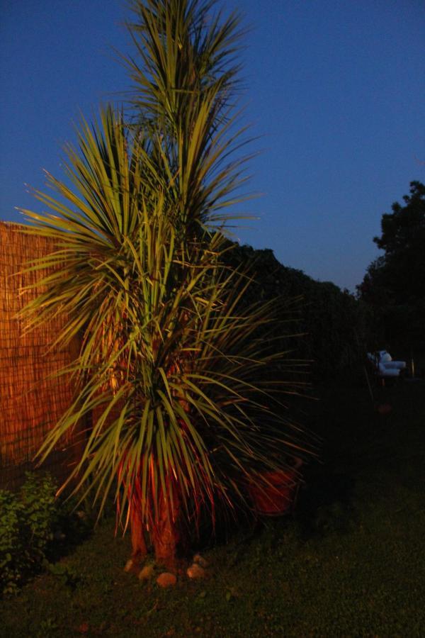 Il Giardino Degli Agrumi Caserta Exteriér fotografie