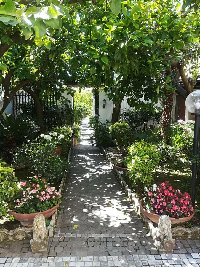Il Giardino Degli Agrumi Caserta Exteriér fotografie